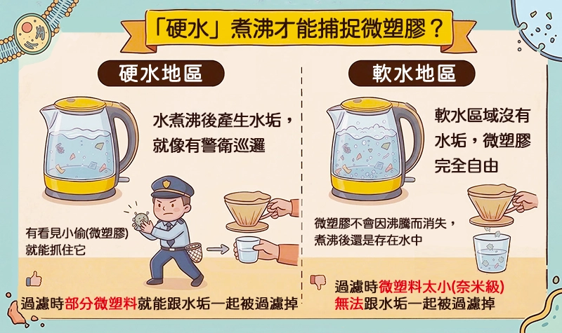 硬水與軟水的差異示意，說明鈣鎂離子加熱後析出形成水垢的過程